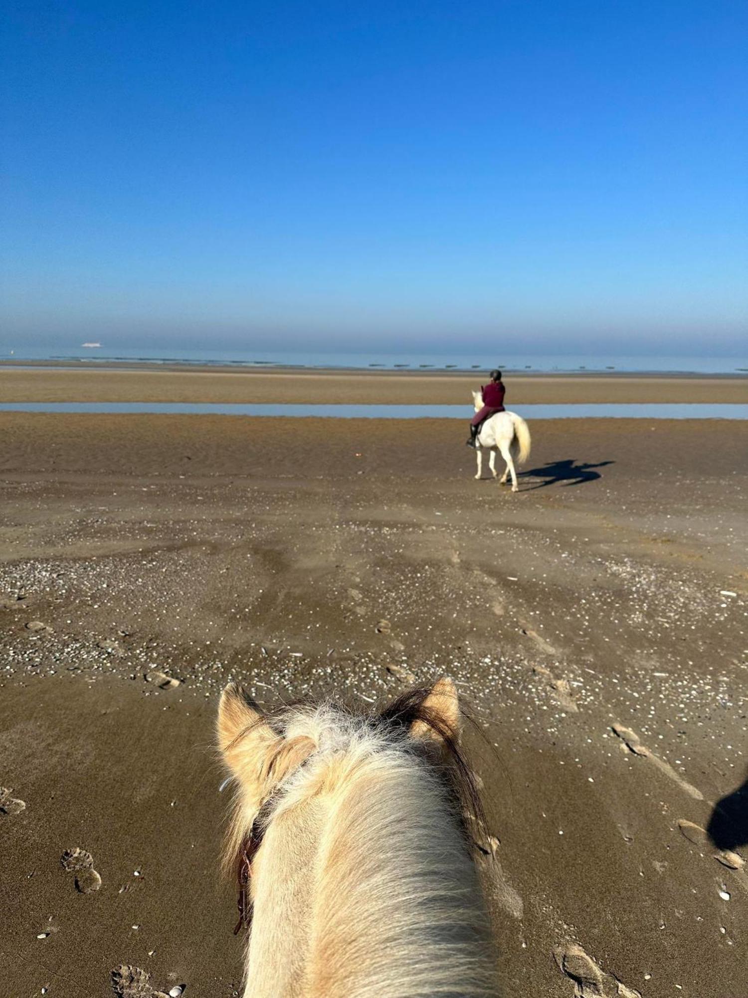 Ferme Equestre Oye-Plage